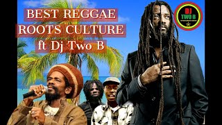 BEST ROOTS REGGAE MIX 2024 ft DJ TWO B