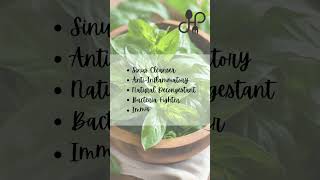 Basil Cleared My Sinuses Fast #viralshorts