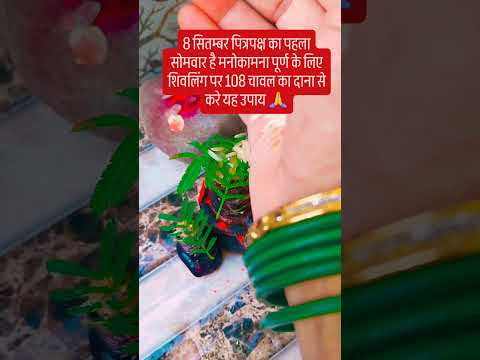 8 सितम्बर पित्रपक्ष के पहले सोमवार को करे यह उपाय 🙏🙏 #upay #pradeepmishrajidhankeupay #शिव#facts