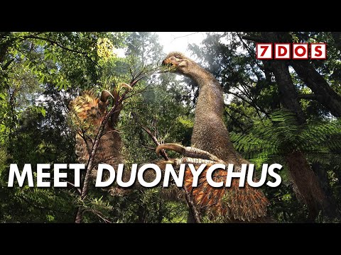 New Therizinosaur Only Had Two Claws On Its Hands