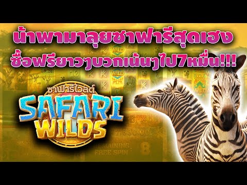 PG : SafariWilds น้ามาลองบอกเลยว่าเด็ดจัดฟรีบวกไป7หมื่น!!! แตกยับ PG พาปั่นสล็อต  สล็อตpg Day 1