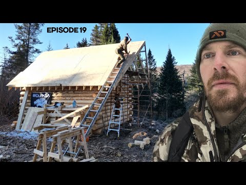 Winter Log Cabin Build on Off-Grid Homestead |EP19|