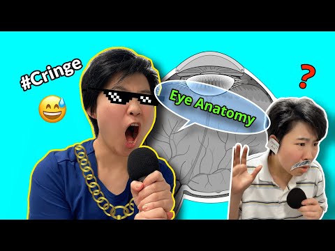 The Eye Rap 🎶 😎 #cringe #eyeanatomy #eyedoc