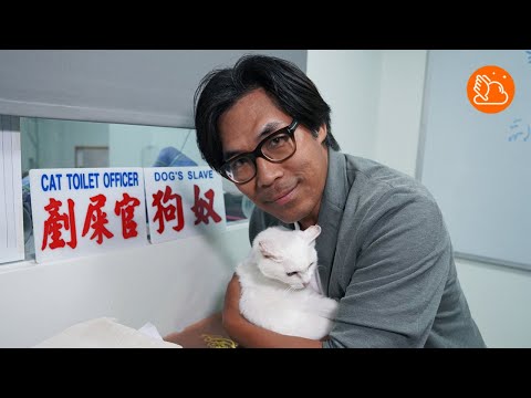 【寵物商機】寵物行業前景係點？獸醫、助護人工有幾多? 一片睇清點入行！｜#機會嚟喇飛雲