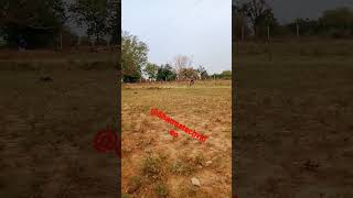 Warning: Sharma Boy's High-Stakes Gaming Mystery Inside! 🤯#sharmatechvideo#pravesh SHARMA cricket