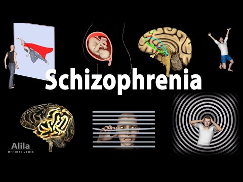 Schizophrenia: Symptoms, Cause, Pathophysiology, Diagnosis and Treatments, Animation.