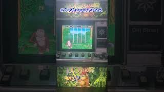 Casinooldstreet. #casino #crazymonkey #slot  #moscow #slots #slotlive #casinooldstreet #shorts