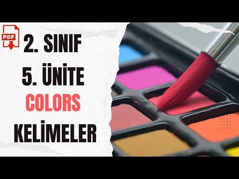 2. SINIF İNGİLİZCE 5. ÜNİTE COLORS KELİMELER - QUIZ + PDF