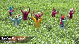 ''MAHARA NETA'' SATPAL SANGWAN BY : SANJAY RAMPHAL
