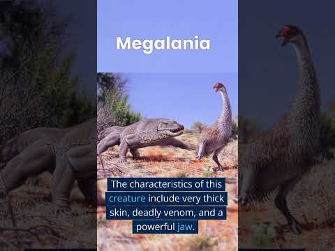 Megalania