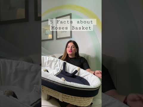 5 Facts about Moses Basket you may not have known!