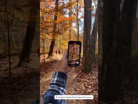 Conkle’s Hollow #hockinghills #ohiotheheartofitall #shorts