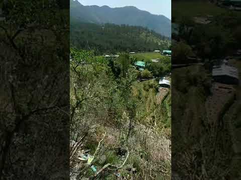 Khurpa tal view nainital uttarakhand#khurpatal