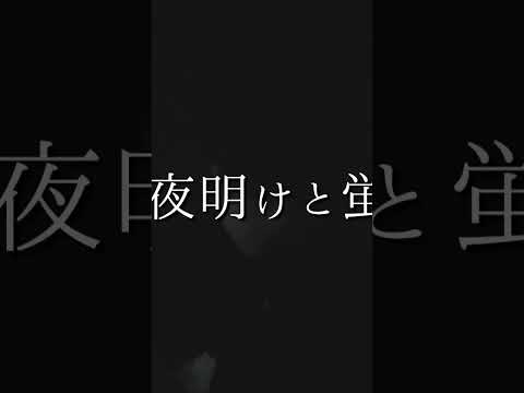 夜明けと蛍/n-buna