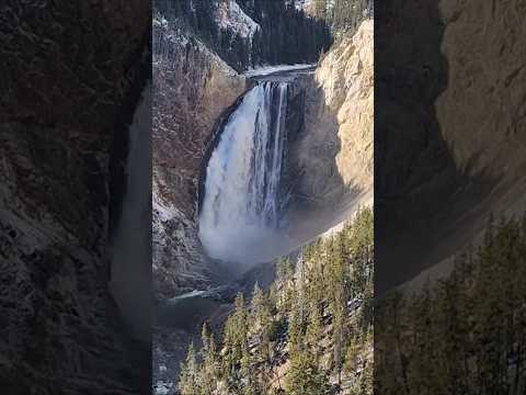 #grandcanyonofyellowstone #waterfall #nature #meditation #yellowstone