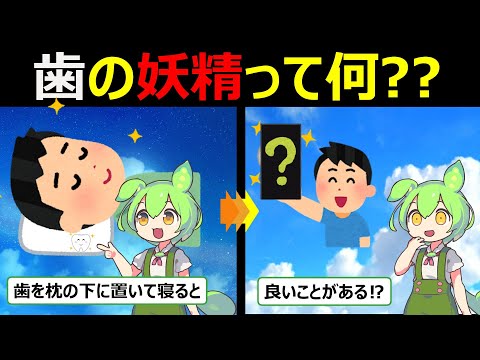 抜けた歯が〇〇に!?驚きの風習とは