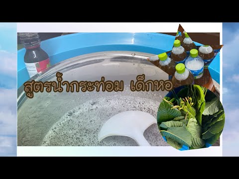 สูตรน้ำกระท่อม [สูตรเด็กหอ] #สูตรน้ำกระท่อม