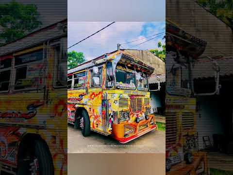 #new#2023#sri lanka#short#bus