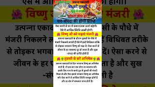 उत्पन्ना एकादशी व्रत शुभ मुहूर्त 2025 UtPanna #ekadashi Vrat time Shubh muhurt #sorts  #ekadashi​