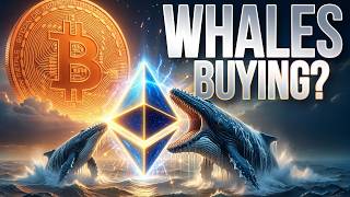 Institutional Buying Spree?📈Crypto Market Update