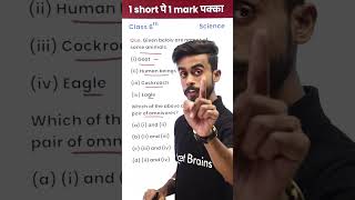 Which Animals Are Omnivores? - 1 Video 1 Mark पक्का in Exam (Class 6th) #shorts