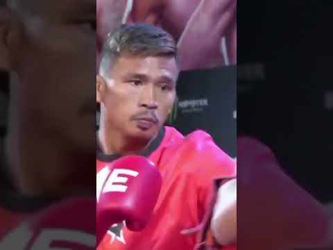 Superlek hitting pads