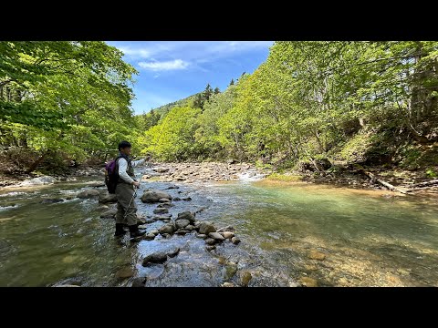 2024.5.22  岩魚川へ