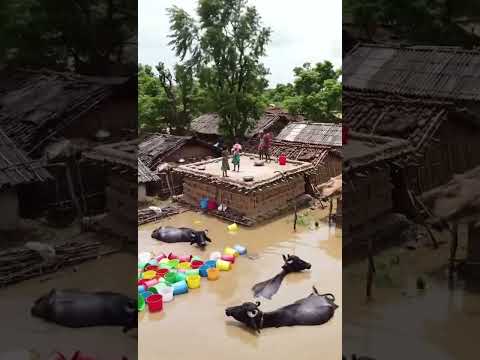 Innocent Childs in Flood😭😭 #tearsofchild #seelab #poorpeople #flood #rainflood #plzsupportme #plzsub