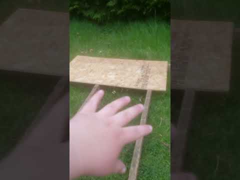 Coop Build/ DAY 2