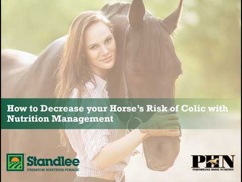 How to Decrease Your Horse's Risk of Colic with Nutrition Management
