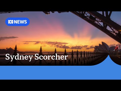 Sydney swelters through hottest March night in 149 years | ABC NEWS