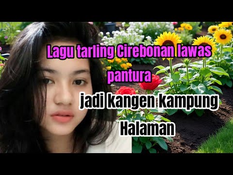 Tarling Cirebonan lawas  pantura