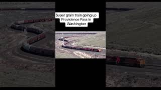 Train Enthusiast's Delight: All About Trains and Locomotives