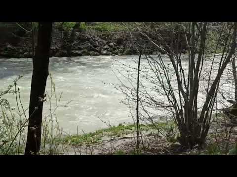 meditation, the sound of the river and the singing of birds