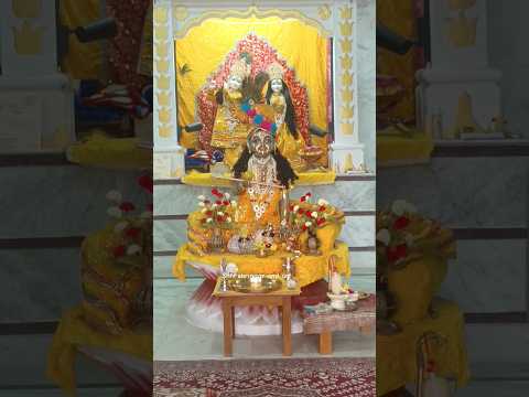 Laddu gopal #laddugopal #mandir #shorts #viralvideo #trending #youtube