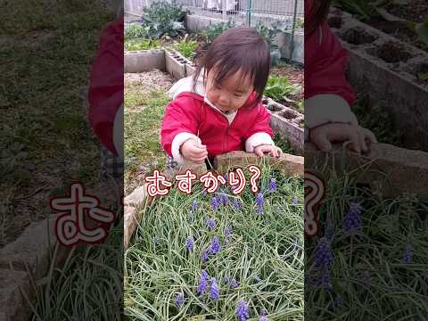 《1歳7ヶ月》春　まだまだ寒いけど外は春の準備#日常#成長#子供#1歳児 #shortvideo#癒し#癒し#あかちゃんのいる生活#ショート#育児#short#shorts#赤ちゃん#親子#成長記録