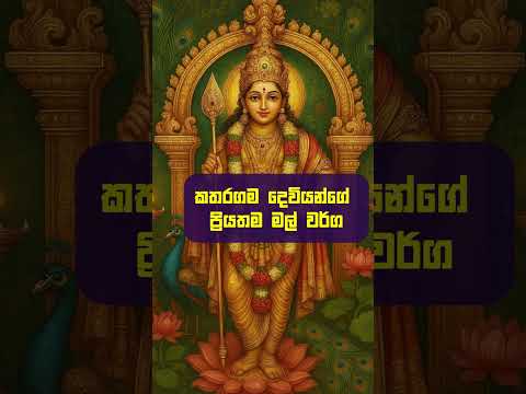 මේ මල් පූජ කරලා කතරගම දෙවියන්ගෙන් කැමති දෙයක් ඉල්ලන්න🙏 #shorts #youtubeshorts #viral #fyp