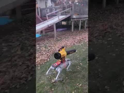 Fall Cleanup Made Easy with Robots: The Future of Yard Work