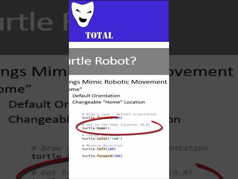 Interview: Can you program robots?  #pythoneering #education #graphics #turtlegraphics