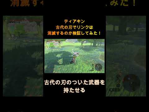 【ティアキン】古代の刃でリンクを消滅させることはできるのか！？検証してみた！#ゼルダの伝説 #totk #ゼルダの伝説 #ゼルダの伝説ティアーズオブザキングダム #ティアキン #検証 #ゲーム実況