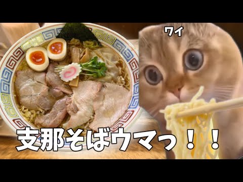 【白河ラーメン】支那そばのトッピング全部のせを大盛りにしてみたけどライスがなくて悲しかった話【いまの家分－天－】#猫ミーム #猫マニ