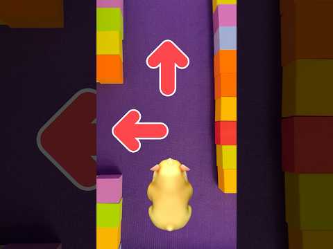 Help the Hamster Escape the Rainbow Maze 🟪🟨🟥🟦! #cocomelon #shorts