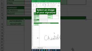 How to Add a Signature to Excel‼️