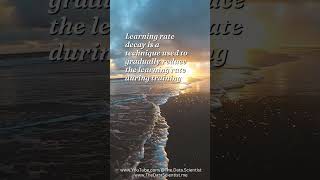 Role of Learning Rate Decay in Training Deep Neural Network | @The.Data.Scientist