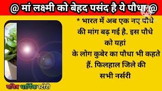 Vastu Plant: मां लक्ष्मी को बेहद पसंद है ये पौधा,घर में इस तरह से लगाएं,प्रसन्न हो जाएंगी धन की देवी