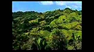 Costa Developers Experience in Costa Rica