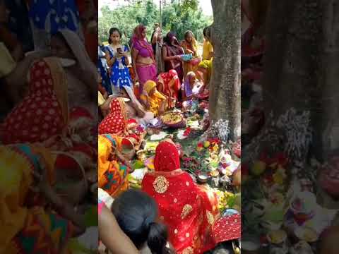 Barsait puja mithila #barsait