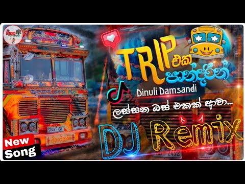 Trip Eka Pandarin ( ට්‍රිප් එක පාන්දරින්  ) Dj Bus Song | New Trending Song 2025 | Bass Boosted