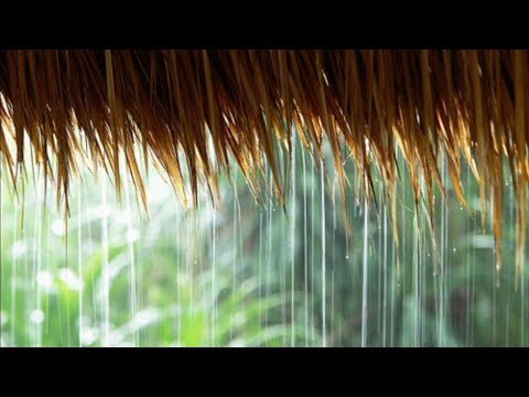 ▶️ Rain on The Roof - NATURE SOUNDS 2020
