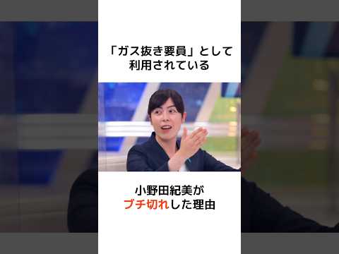 「ガス抜き要員」として利用されている小野田紀美がブチ切れした理由 #歴史 #政治 #財務省 #消費税 #shorts  #増税 #自民党 #財務省 #小野田紀美